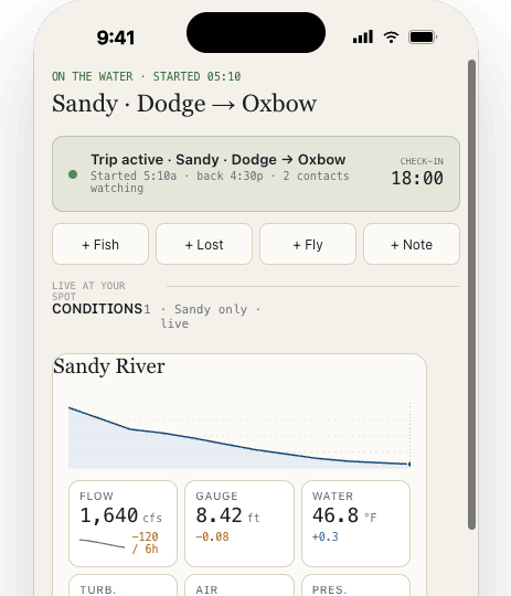 Home active activity showing live duration and quick entry action